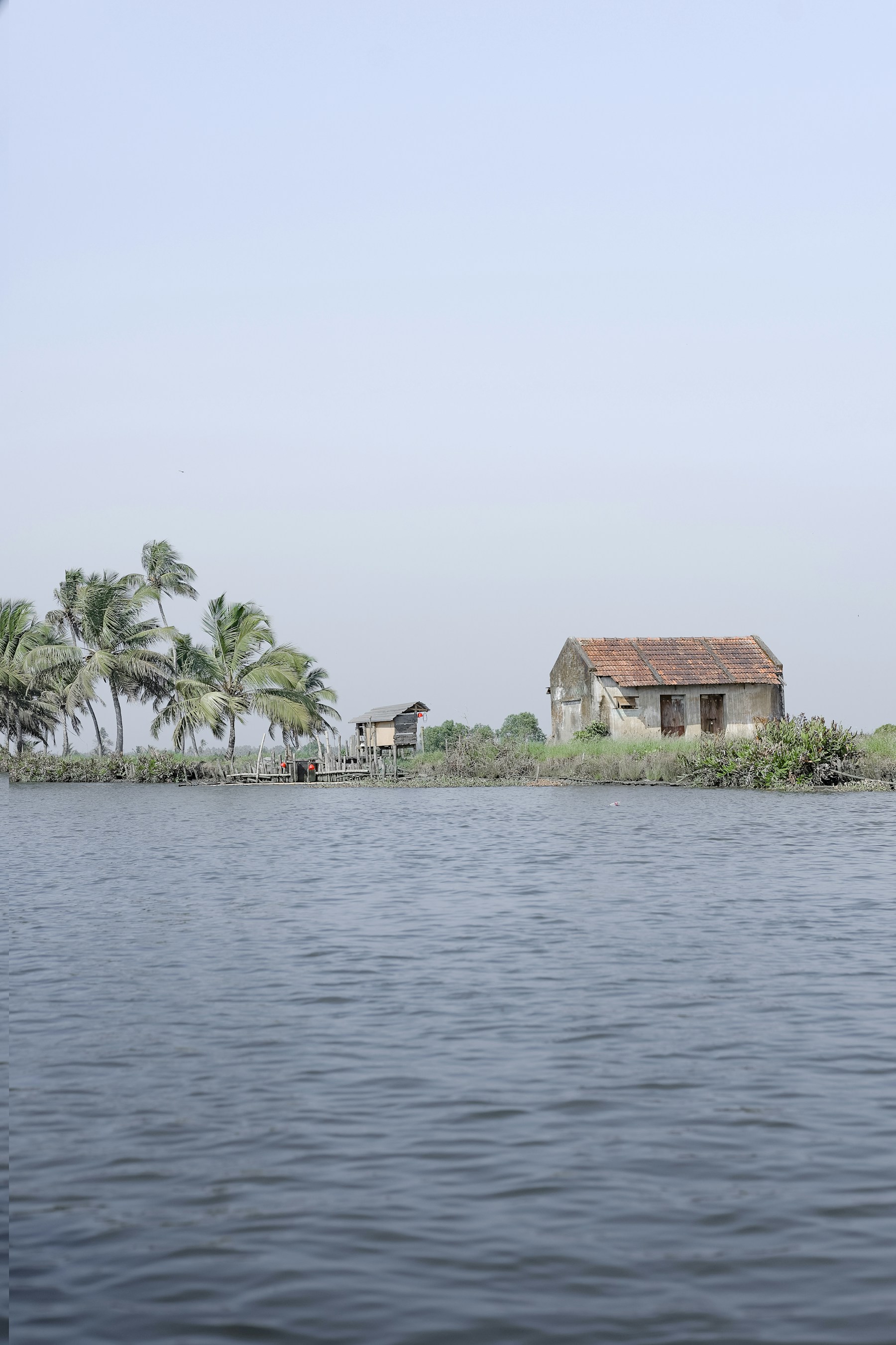 A quiet riverside house and palms