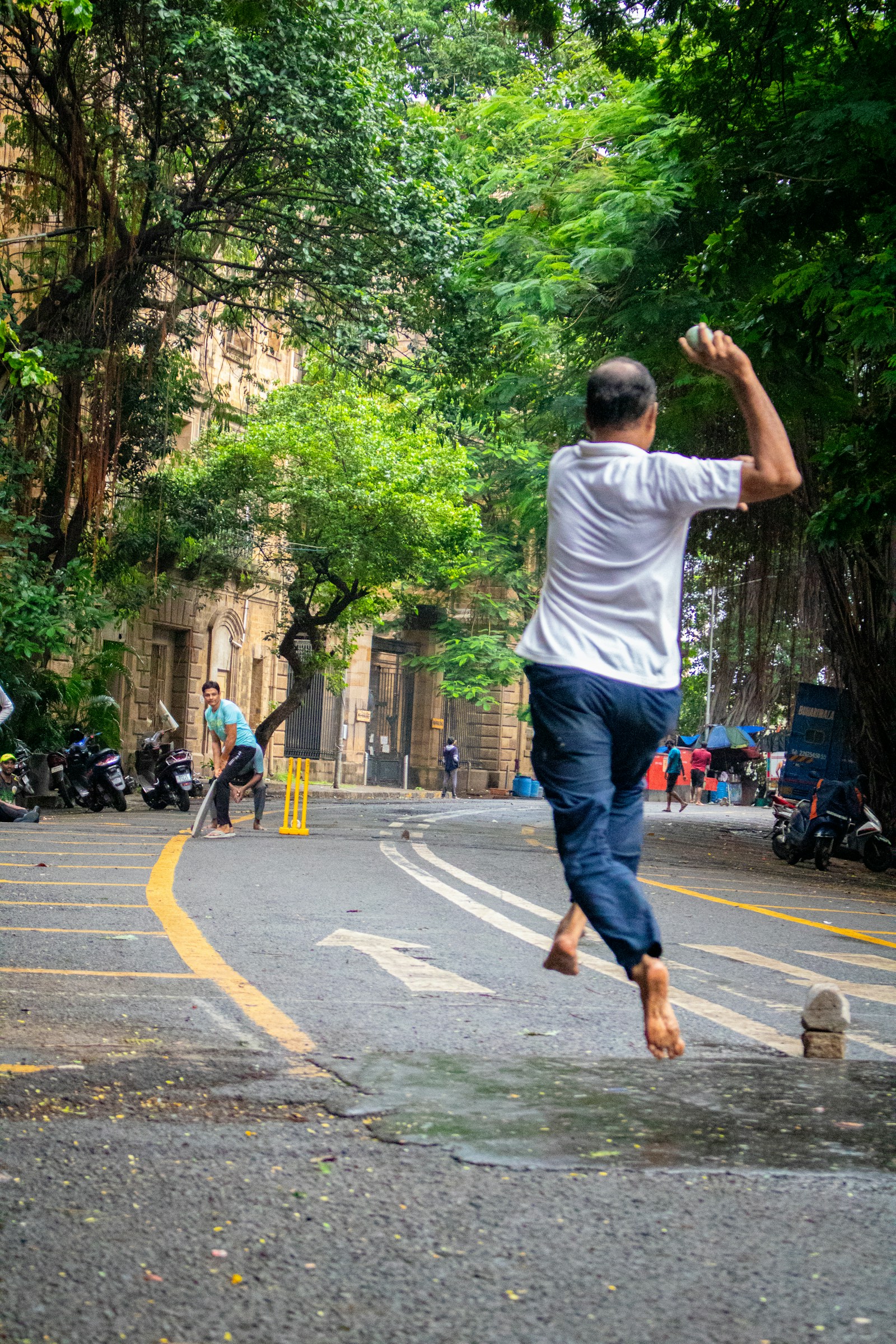 Street cricket on a tree-lined road